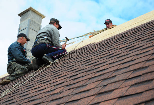 Best Metal Roofing Contractor  in St George, KS
